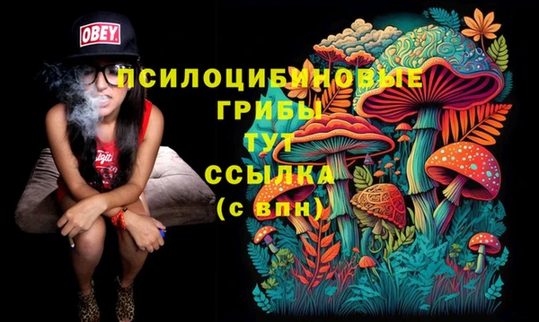 кристаллы Козельск