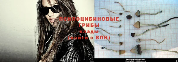 метадон Козловка