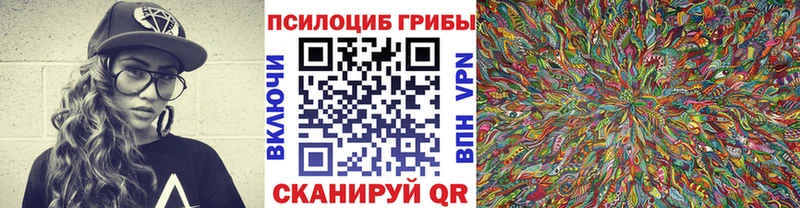 что такое наркотик Талдом Галлюциногенные грибы Psilocybine cubensis